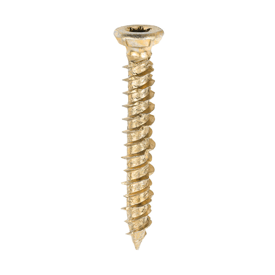 Concrete Frame Screws (100)