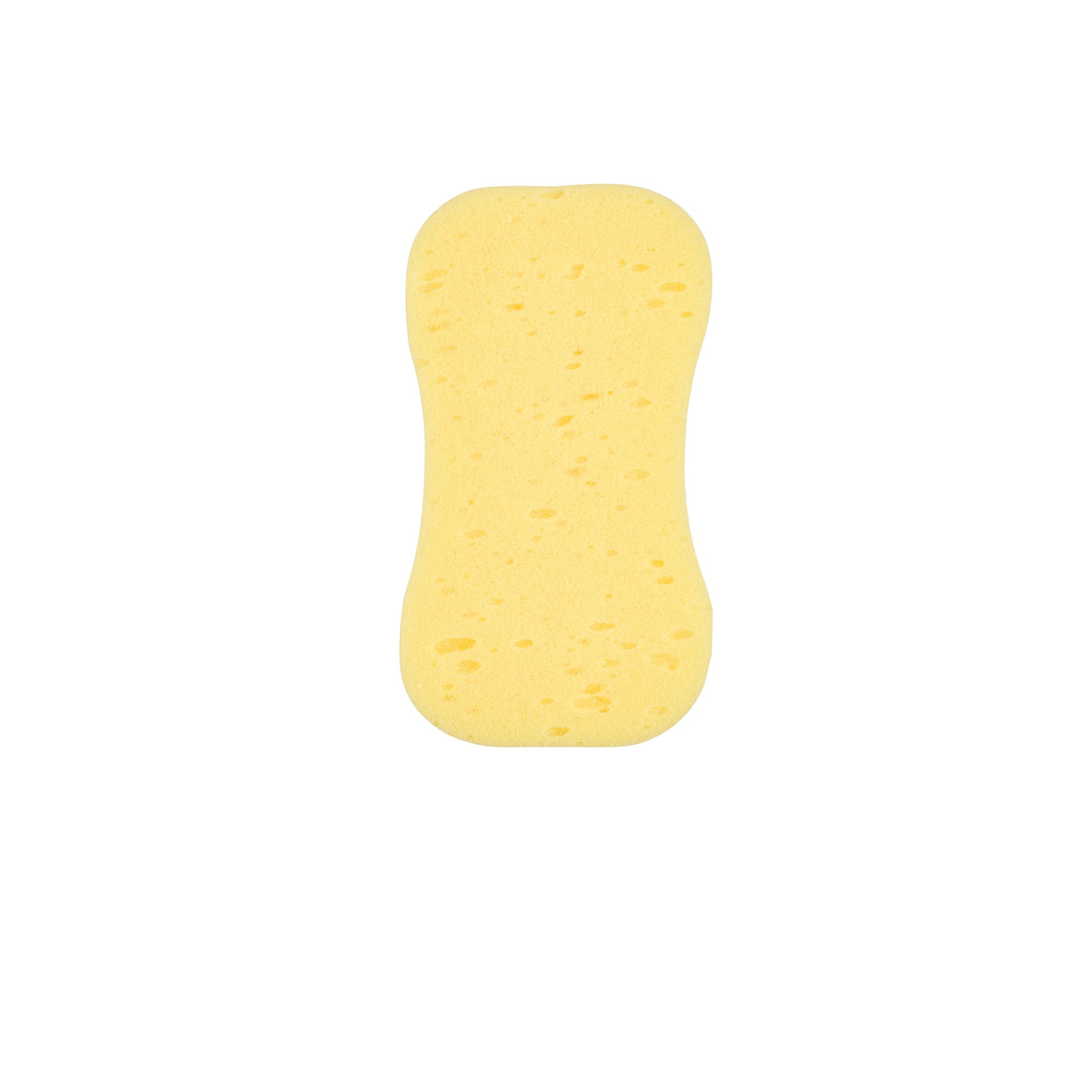 Harris Essentials Sponge