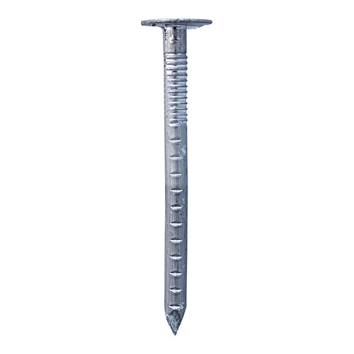 Aluminium Clout 1kg
